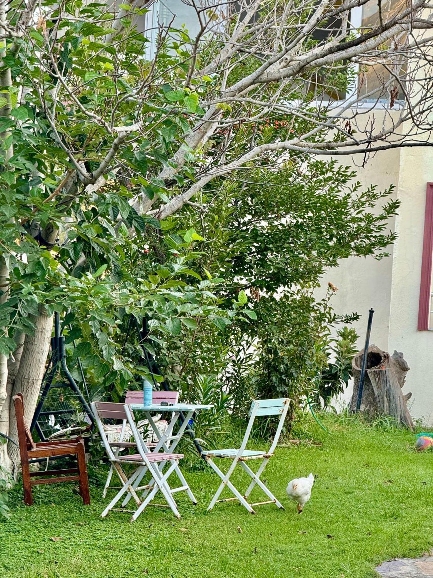 Rose Pension Patara Bagian luar foto