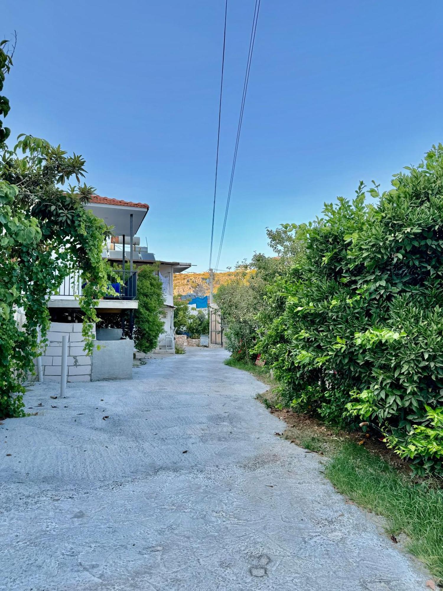 Rose Pension Patara Bagian luar foto