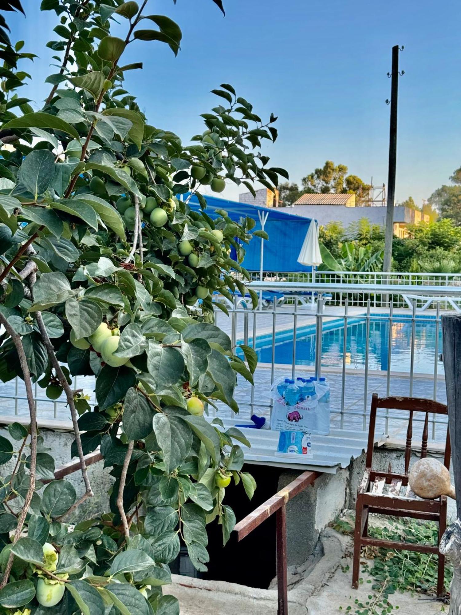 Rose Pension Patara Bagian luar foto
