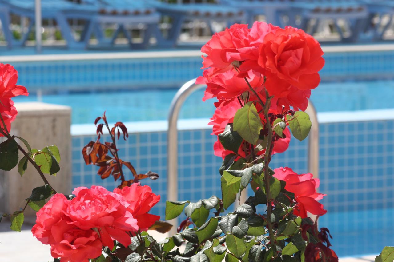 Rose Pension Patara Bagian luar foto